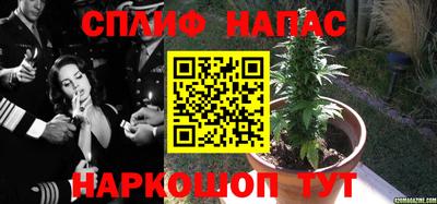 Альфа ПВП Аргун