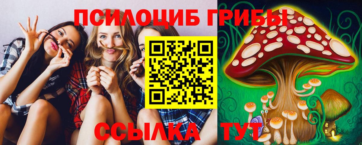 Астрахань  Псилоцибиновые грибы мицелий  Вход с VPN 