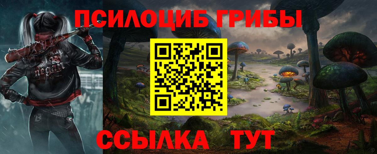 Псилоцибиновые грибы Psilocybe Астрахань